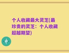 个人收藏最大灵芝(最珍贵的灵芝：个人收藏超越期望)
