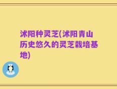沭阳种灵芝(沭阳青山历史悠久的灵芝栽培基地)