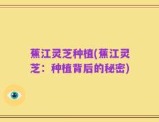 蕉江灵芝种植(蕉江灵芝：种植背后的秘密)