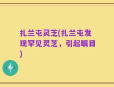 扎兰屯灵芝(扎兰屯发现罕见灵芝，引起瞩目)