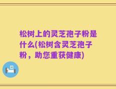 松树上的灵芝孢子粉是什么(松树含灵芝孢子粉，助您重获健康)