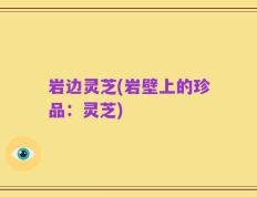 岩边灵芝(岩壁上的珍品：灵芝)