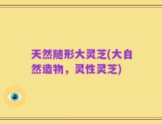 天然随形大灵芝(大自然造物，灵性灵芝)