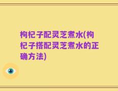 枸杞子配灵芝煮水(枸杞子搭配灵芝煮水的正确方法)