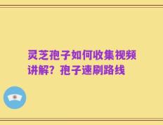 灵芝孢子如何收集视频讲解？孢子速刷路线