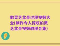 做灵芝盆景过程视频大全(制作令人惊叹的灵芝盆景视频教程合集)