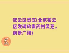 密云区灵芝(北京密云区发现珍贵药材灵芝，前景广阔)