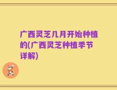 广西灵芝几月开始种植的(广西灵芝种植季节详解)