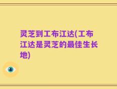 灵芝到工布江达(工布江达是灵芝的最佳生长地)
