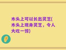 木头上可以长出灵芝(木头上现身灵芝，令人大吃一惊)