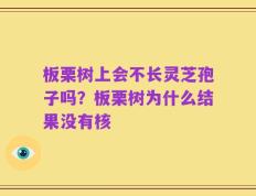板栗树上会不长灵芝孢子吗？板栗树为什么结果没有核