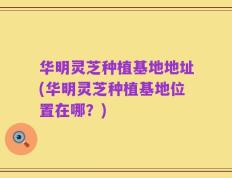 华明灵芝种植基地地址(华明灵芝种植基地位置在哪？)