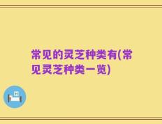 常见的灵芝种类有(常见灵芝种类一览)
