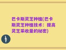 巴卡斯灵芝种植(巴卡斯灵芝种植技术：提高灵芝采收量的秘密)