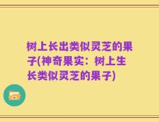树上长出类似灵芝的果子(神奇果实：树上生长类似灵芝的果子)
