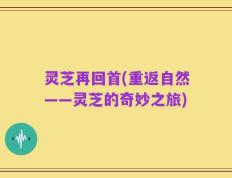 灵芝再回首(重返自然——灵芝的奇妙之旅)