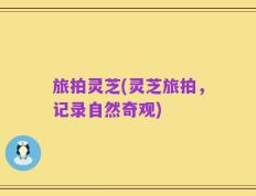 旅拍灵芝(灵芝旅拍，记录自然奇观)