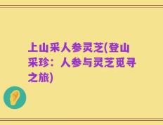 上山采人参灵芝(登山采珍：人参与灵芝觅寻之旅)
