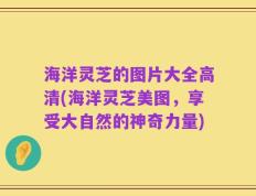 海洋灵芝的图片大全高清(海洋灵芝美图，享受大自然的神奇力量)