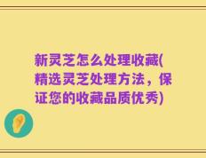 新灵芝怎么处理收藏(精选灵芝处理方法，保证您的收藏品质优秀)