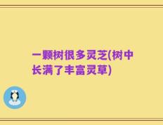 一颗树很多灵芝(树中长满了丰富灵草)
