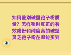 如何鉴别破壁孢子粉质量？怎样鉴别真正的有效成份和纯度高的破壁灵芝孢子粉在哪能买到
