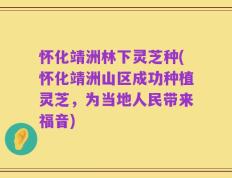 怀化靖洲林下灵芝种(怀化靖洲山区成功种植灵芝，为当地人民带来福音)