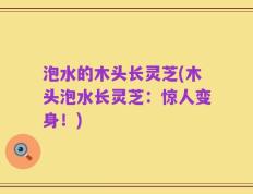 泡水的木头长灵芝(木头泡水长灵芝：惊人变身！)