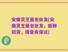 安徽灵芝菌包批发(安徽灵芝菌包批发，新鲜到货，质量有保证)