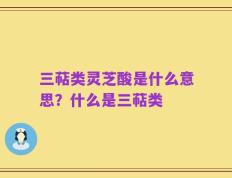 三萜类灵芝酸是什么意思？什么是三萜类