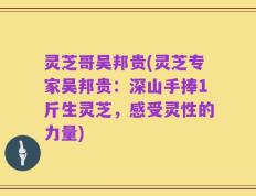 灵芝哥吴邦贵(灵芝专家吴邦贵：深山手捧1斤生灵芝，感受灵性的力量)