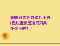 墨脱到灵芝自驾几小时(墨脱至灵芝自驾耗时多少小时？)