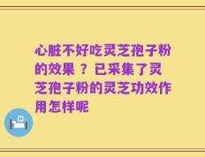 心脏不好吃灵芝孢子粉的效果 ？已采集了灵芝孢子粉的灵芝功效作用怎样呢