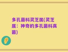 多孔菌科灵芝属(灵芝属：神奇的多孔菌科真菌)