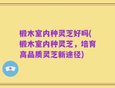 椴木室内种灵芝好吗(椴木室内种灵芝，培育高品质灵芝新途径)