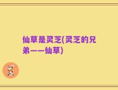 仙草是灵芝(灵芝的兄弟——仙草)