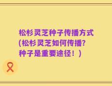 松杉灵芝种子传播方式(松杉灵芝如何传播？种子是重要途径！)