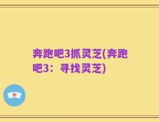 奔跑吧3抓灵芝(奔跑吧3：寻找灵芝)