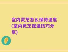室内灵芝怎么保持温度(室内灵芝保温技巧分享)