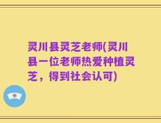 灵川县灵芝老师(灵川县一位老师热爱种植灵芝，得到社会认可)