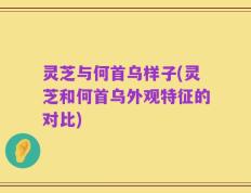 灵芝与何首乌样子(灵芝和何首乌外观特征的对比)