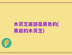 木灵芝底部是黑色的(黑底的木灵芝)