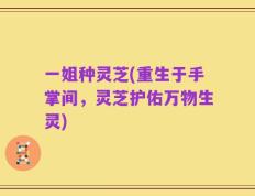 一姐种灵芝(重生于手掌间，灵芝护佑万物生灵)