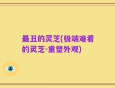最丑的灵芝(极端难看的灵芝-重塑外观)