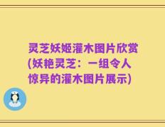 灵芝妖姬灌木图片欣赏(妖艳灵芝：一组令人惊异的灌木图片展示)