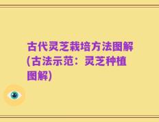古代灵芝栽培方法图解(古法示范：灵芝种植图解)