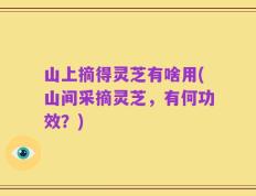 山上摘得灵芝有啥用(山间采摘灵芝，有何功效？)