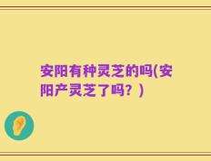 安阳有种灵芝的吗(安阳产灵芝了吗？)