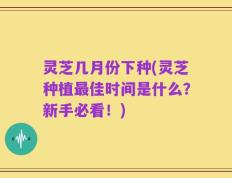 灵芝几月份下种(灵芝种植最佳时间是什么？新手必看！)