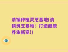 清镇种植灵芝基地(清镇灵芝基地：打造健康养生新宠!)